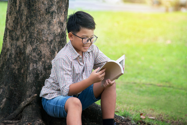 11+ Summer Revision Tips 11+ Summer Revision Tips