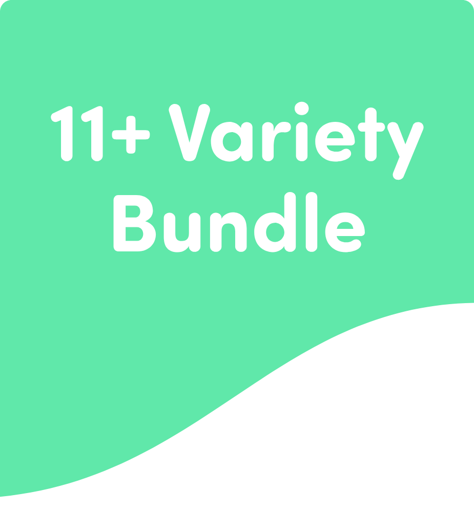 11+ Variety Bundle